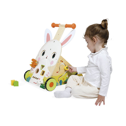 Janod - Farm Multi-Activity Baby Walker - Infants