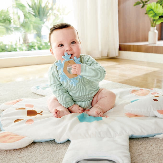 Hape - Snuggle Bear Activity Gym - Infants