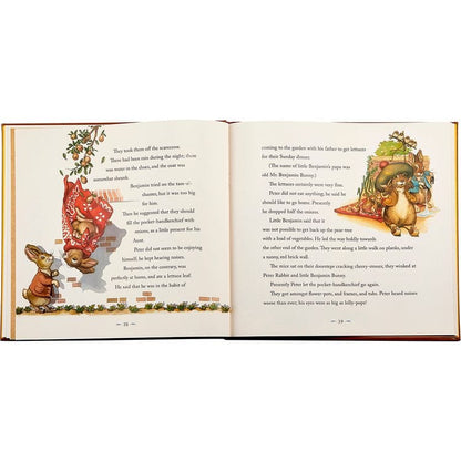 Graphic Image - "The Classic Tale of Peter Rabbit" Book in Tan Bonded Leather - Books