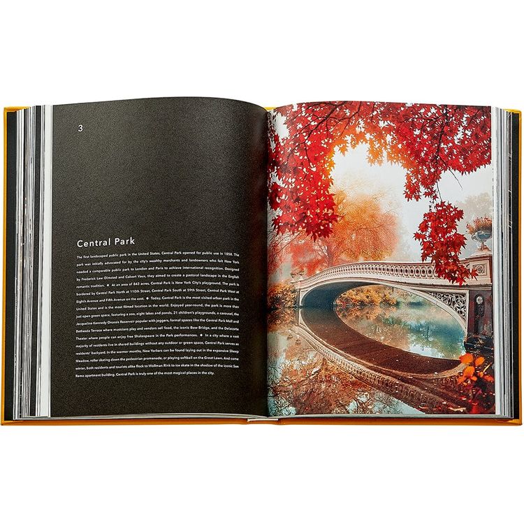 Graphic Image - Trope New York Book Leather Edition - Books