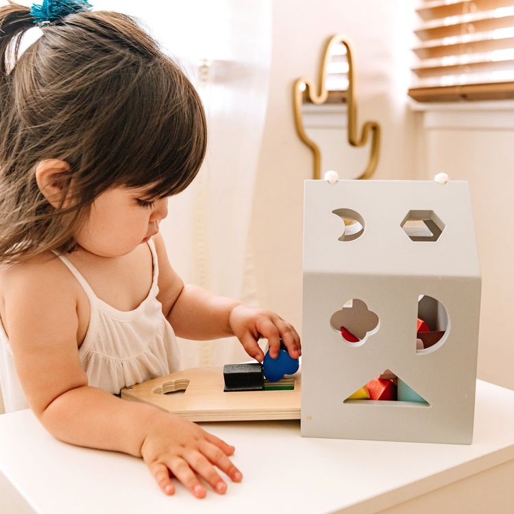 Wonder & Wise - Wooden Shape Sorter - Preschool