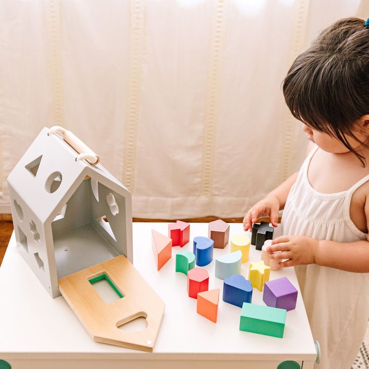 Wonder & Wise - Wooden Shape Sorter - Preschool