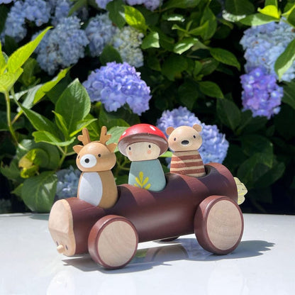 Tender Leaf Toys - Wooden Timber Taxi Toy - Preschool